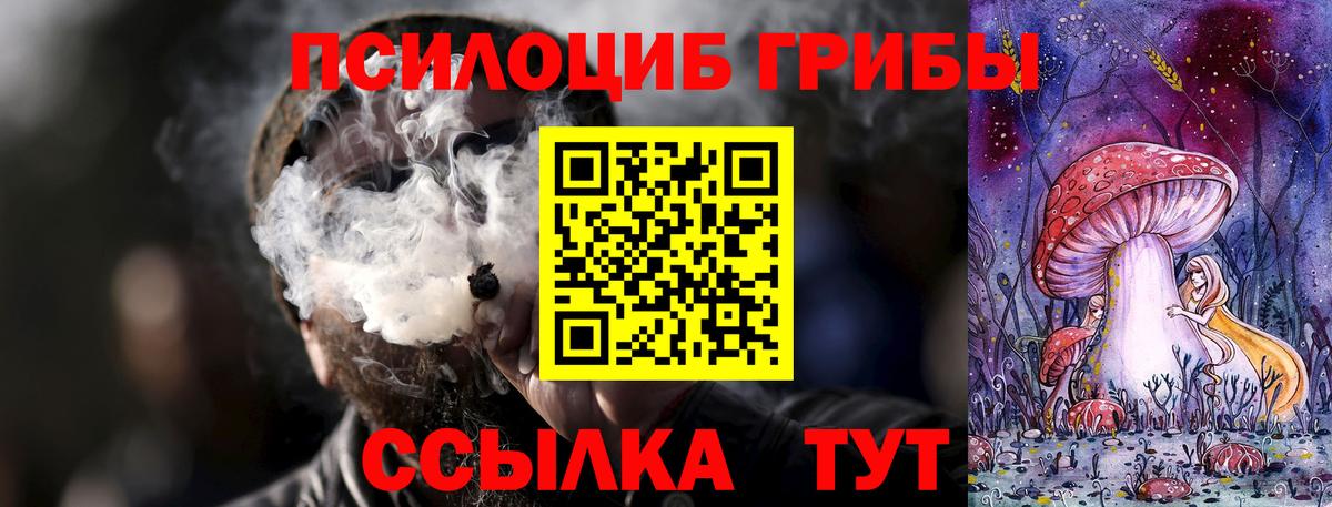 Псилоцибиновые грибы мицелий  Вход с VPN  Псилоцибиновые грибы Cubensis  Ставрополь 